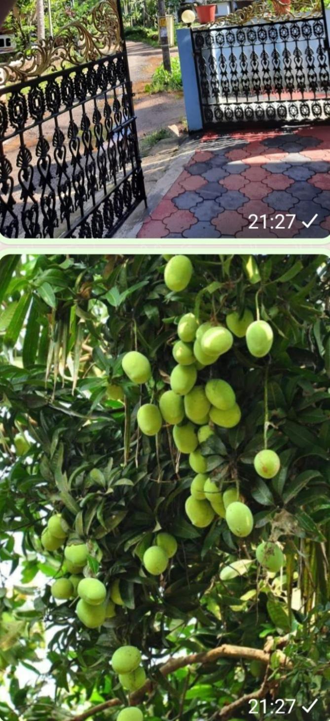 Urban Rose Homestay Kannur Buitenkant foto